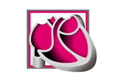 csm dgklogo dark147x132 web cc52d1e980